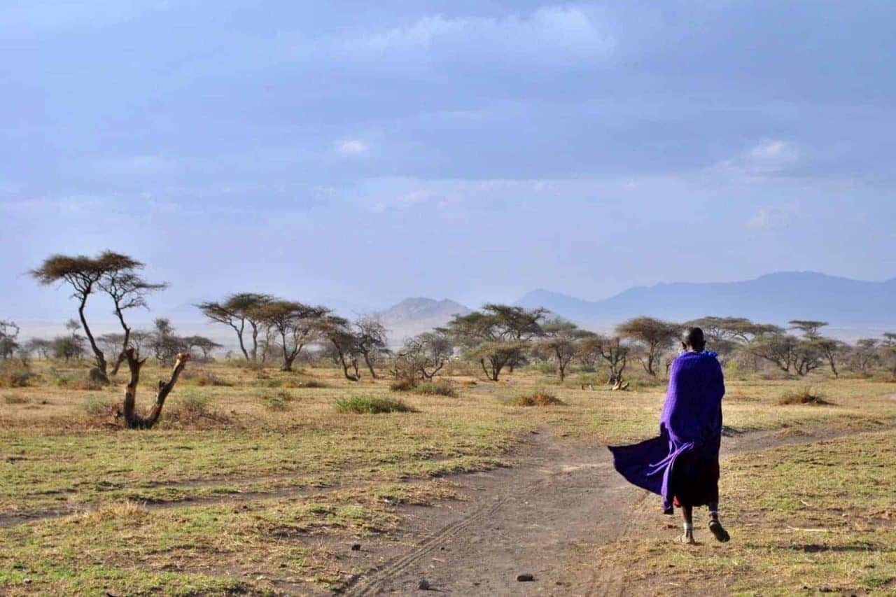 serengeti-roads